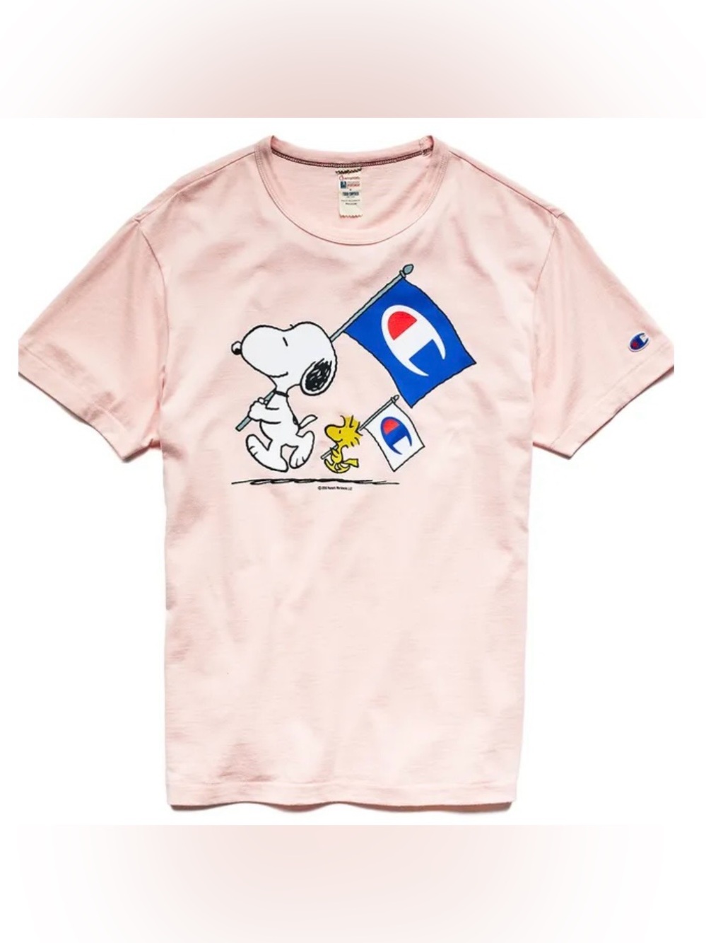 Todd Snyder Champion Peanuts Graphic TShirt Mens Small Snoopy Woodstock Flag Tee